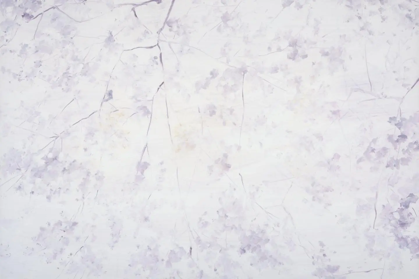 Kodama Yasue, "ambient light – sakura," 2002 (Photo: MOMAT)