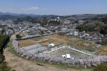 Hinode Cherry Blossom Festival 2027