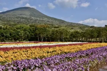 Photo: <a href="https://tokyoislands.jp/" target="_blank" rel="noreferrer noopener nofollow">Tokyo Islands - Used with Permission</a>