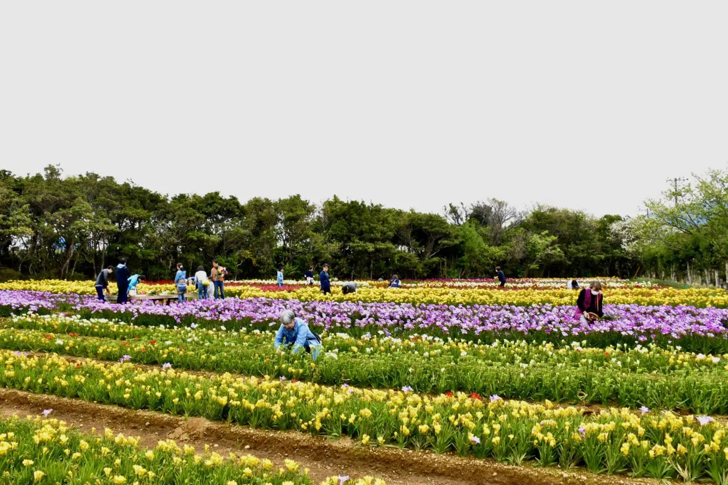 Photo: Tokyo Islands - Used with Permission