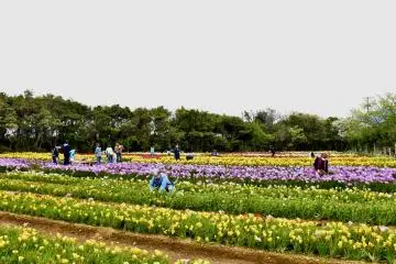 Photo: <a href="https://tokyoislands.jp/" target="_blank" rel="noreferrer noopener nofollow">Tokyo Islands - Used with Permission</a>