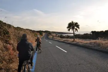 Cycles of paradise