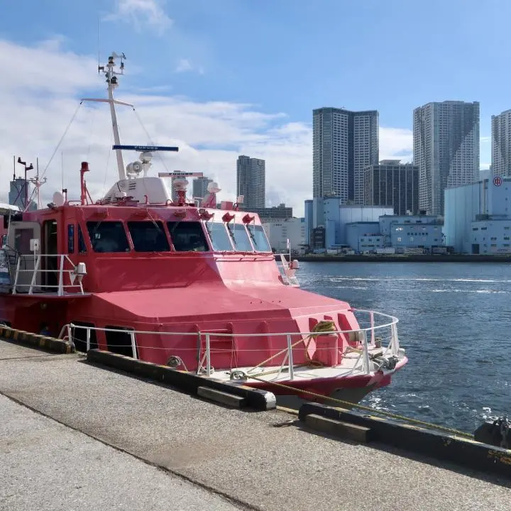 Extraordinary Experiences in the Great Nature of Izu-Oshima, the