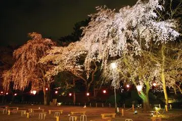 Photo: Nagoya City