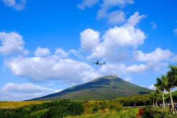 Plane travel to Hachijojima is only 55 minutes!