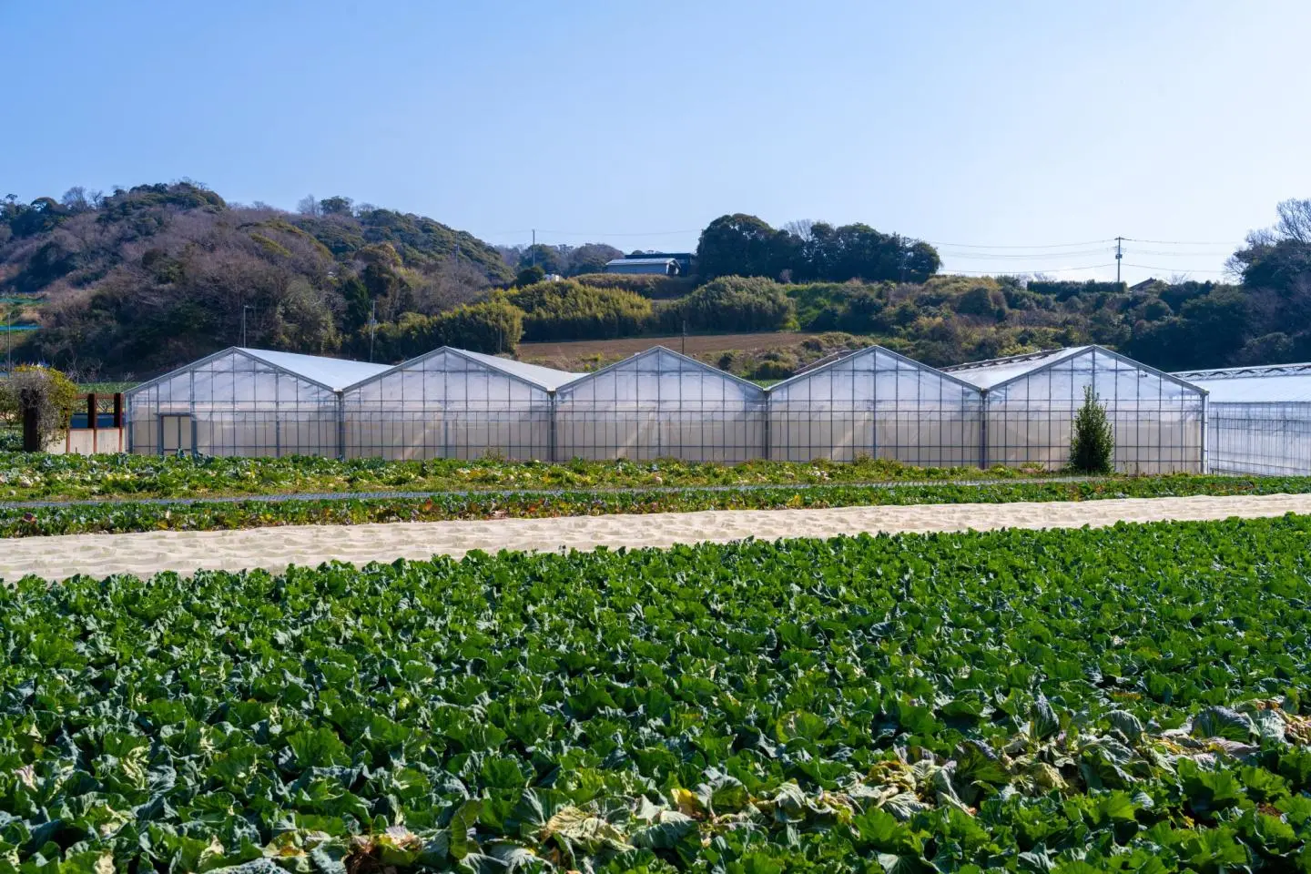 An agricultural retreat (照片由: Leslie Taylor)