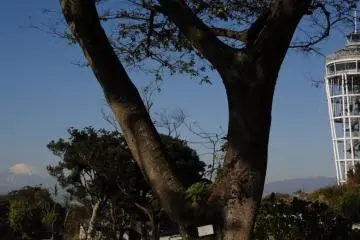 Enoshima island's lighthouse tower "Sea Candle"