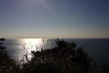 Cocking loved this view of the sea from his home.