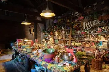 The House of Witches