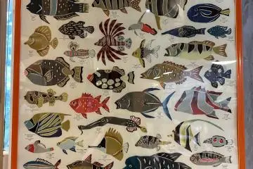 A Ryukyu fish poster at Nago Grocery Store