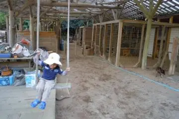 A short visit to the farm