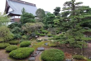 Garden behind the temple