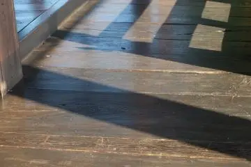 Early morning shadows