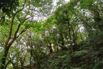 Shiroyama Hill