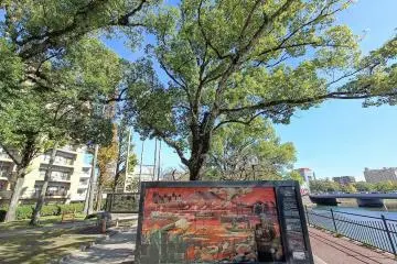 High tech and nature