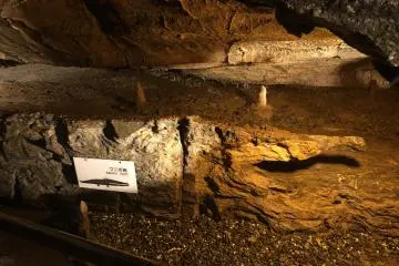 Aligator shaped rock formation