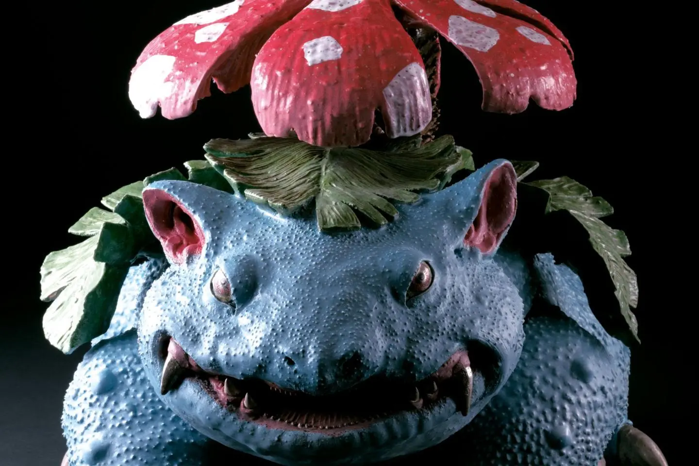 Venusaur (Photo: © Sadamasa Imai)