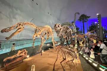 The museum has 50 real-sized dinosaur exhibits as part of their permanent exhibition