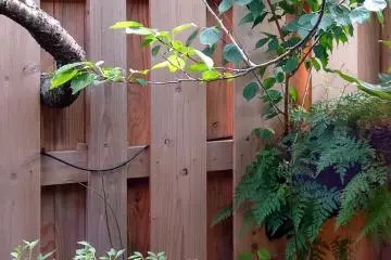 Wa villa is amazingly fenced around branches