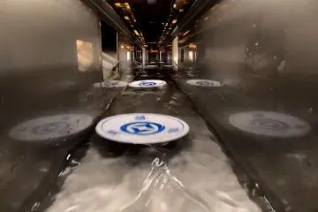 Behind the scenes from the slot to the washing area