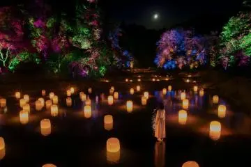 teamLab, Hidden Traces of Rice Terraces © teamLab