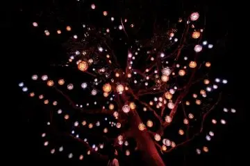 teamLab, Resonating Universe in the Tabunoki Tree © teamLab