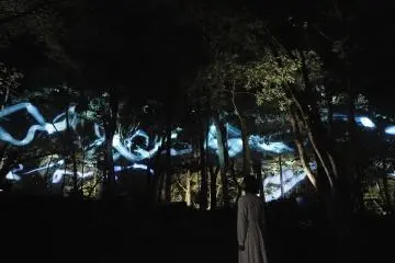 teamLab, Continuous Trajectories © teamLab