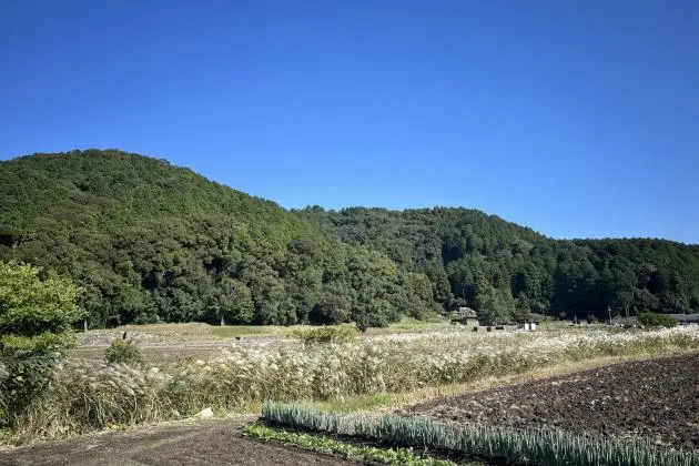 樹の上の散歩 Hiking Around Azuchi Castle Ruins - Omihachiman, Shiga - Japan Travel