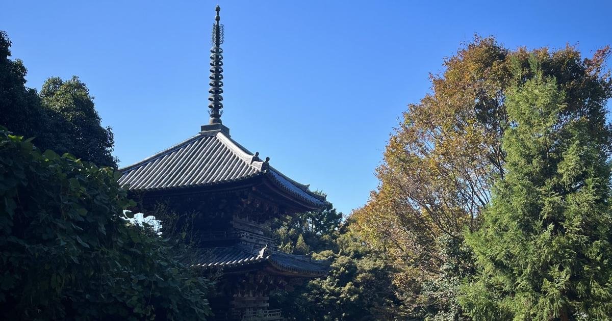 樹の上の散歩 Hiking Around Azuchi Castle Ruins - Omihachiman, Shiga - Japan Travel