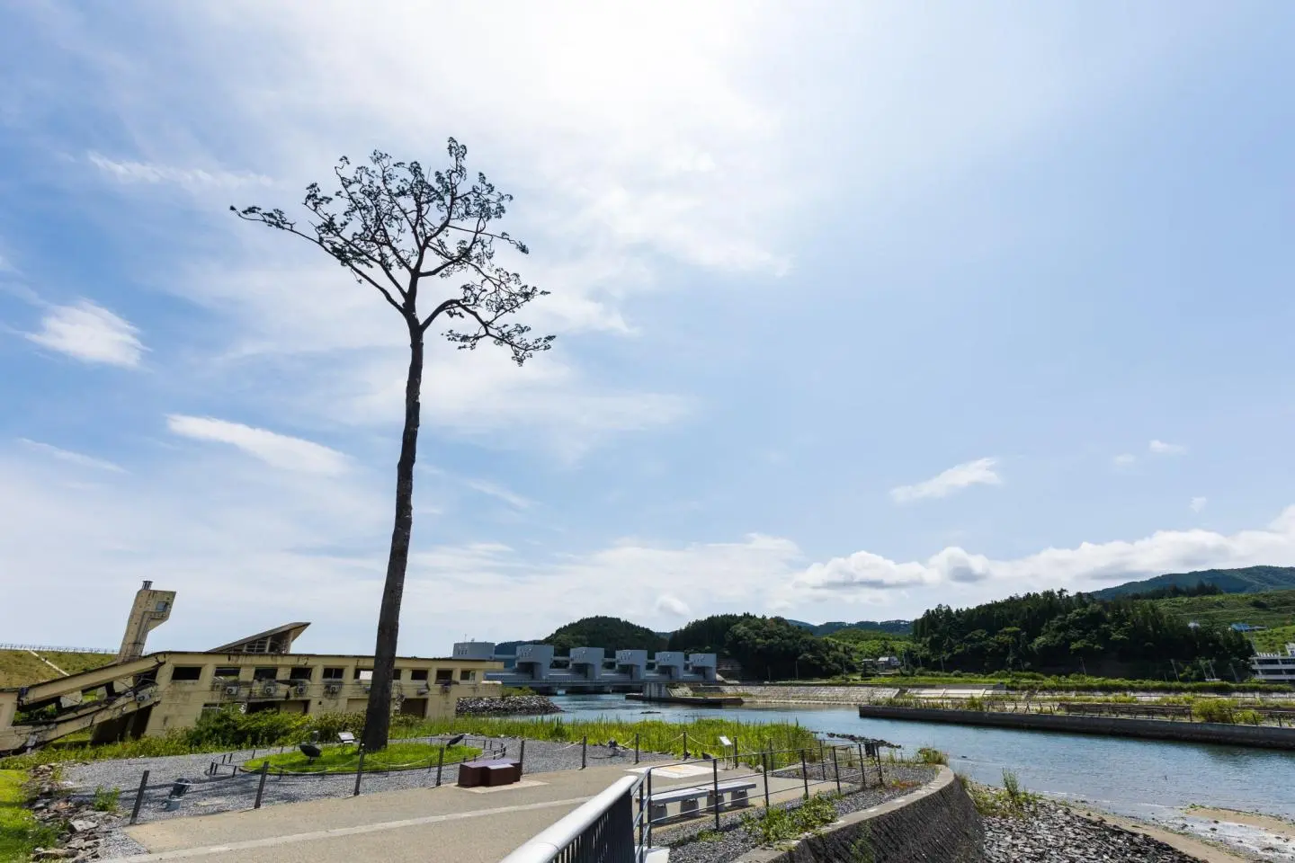 Le pin miraculeux avec l'auberge de jeunesse Rikuzentakata (Photo: Pete Leong)