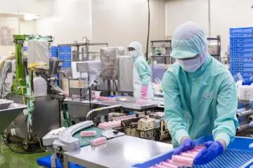 L'usine de kamaboko de Yuzuki