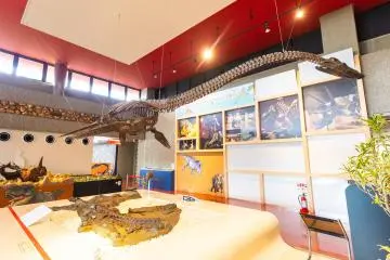 Fossile de Futabasaurus