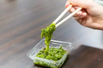 Le mekabu d’Oishin