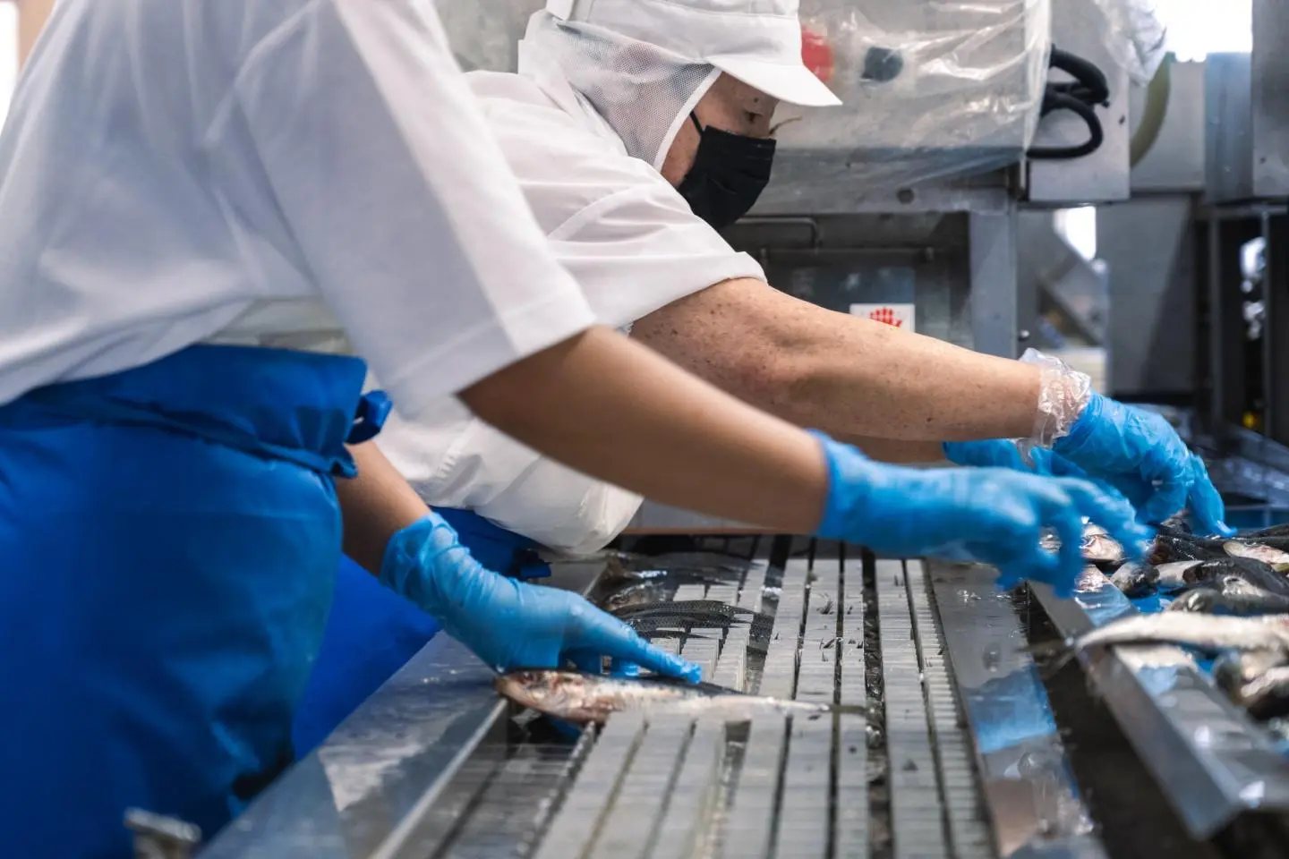 Inspections manuelles sur la ligne de production (Photo: Leslie Taylor)