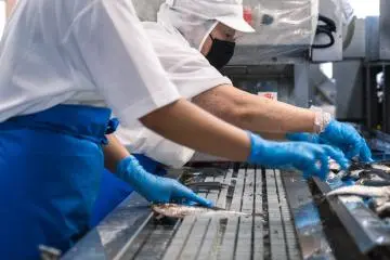 Inspections manuelles sur la ligne de production