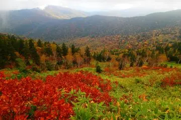 The colors of fall (Photo: Matthew Shewchuk)