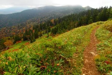 The path (Photo: Matthew Shewchuk)