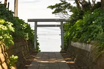 Vue sur l'océan