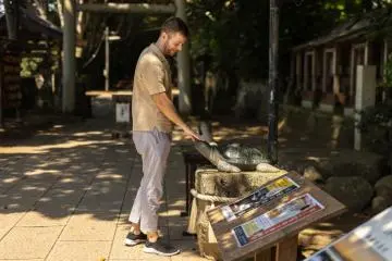 Cette tortue est censée attirer la fortune