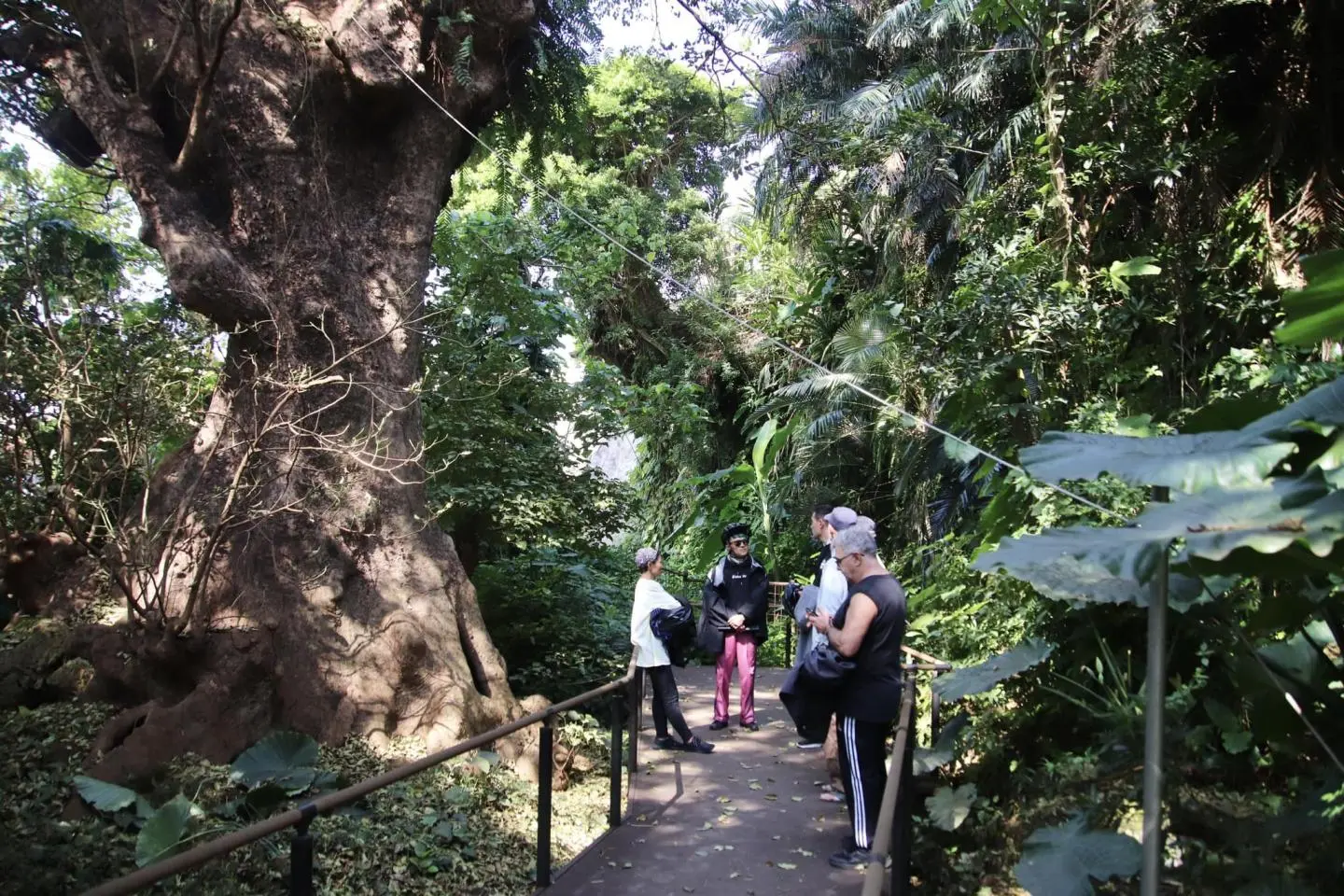 Hidden Gem: Natural site of Okinawa (Photo: e-CHARIty)
