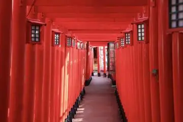 Okinawa Tour Snapshot