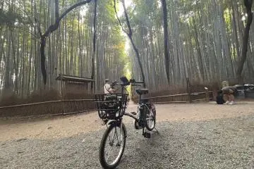 Kyoto Tour Snapshot