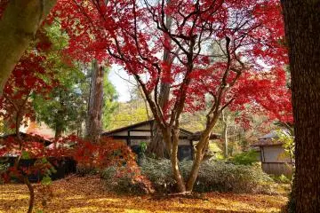 L’automne à Kakunodate
