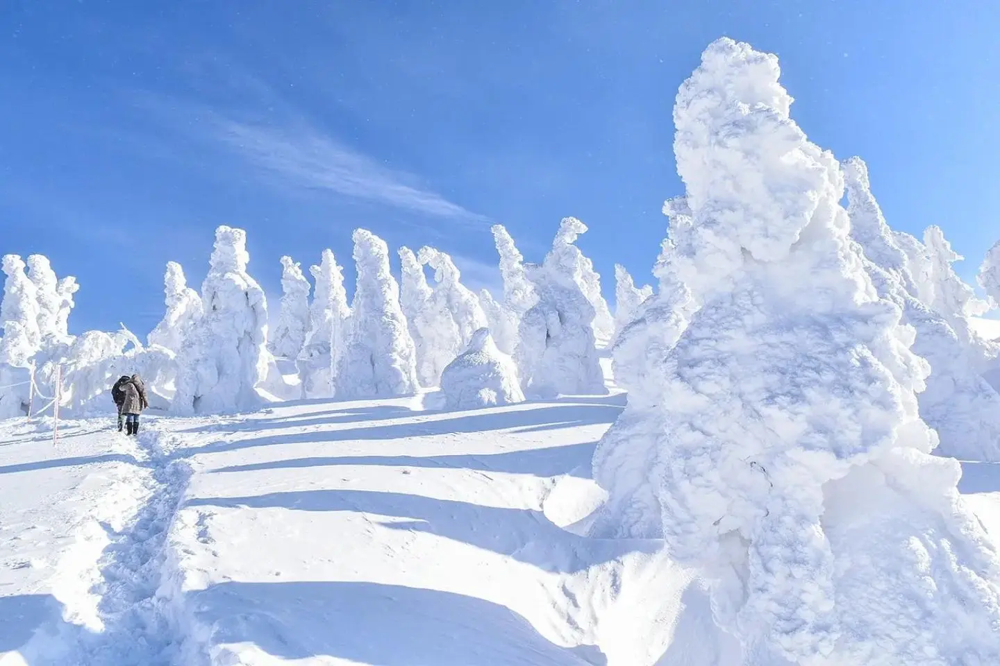 Monstres de neige sur le mont Moriyoshi