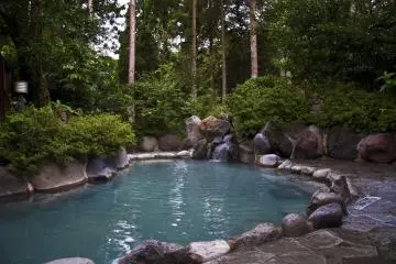 The Men's Rotenburo (open-air hot spring) is surrounded by trees.