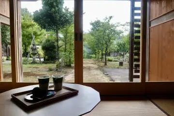 Garden view