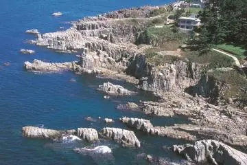 Tojinbo’s rare cliffs