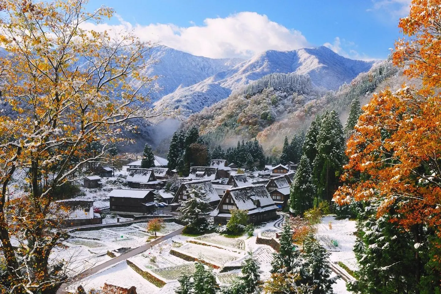 照片由: © Gokayama Tourist Information Center