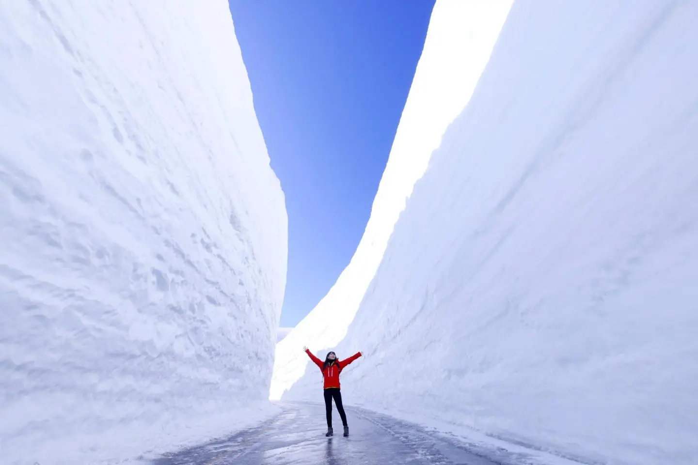 照片由: © Tateyama Kurobe Alpine Route