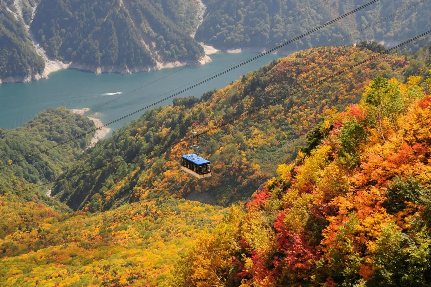 照片由: © Tateyama Kurobe Alpine Route
